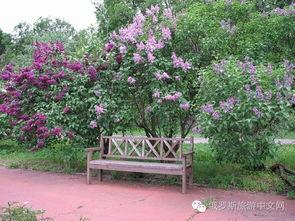 丁香六月激情国产 第2张 丁香六月激情国产 第2张