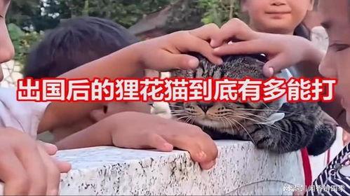 国产咪咪 第2张 国产咪咪 第2张