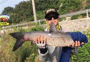 青鱼视频国产在线,国产在线影视盛宴,尽享视听盛宴 第2张 青鱼视频国产在线,国产在线影视盛宴,尽享视听盛宴 第2张