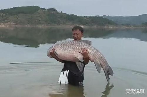 青鱼视频国产在线,国产在线影视盛宴,尽享视听盛宴 第3张 青鱼视频国产在线,国产在线影视盛宴,尽享视听盛宴 第3张